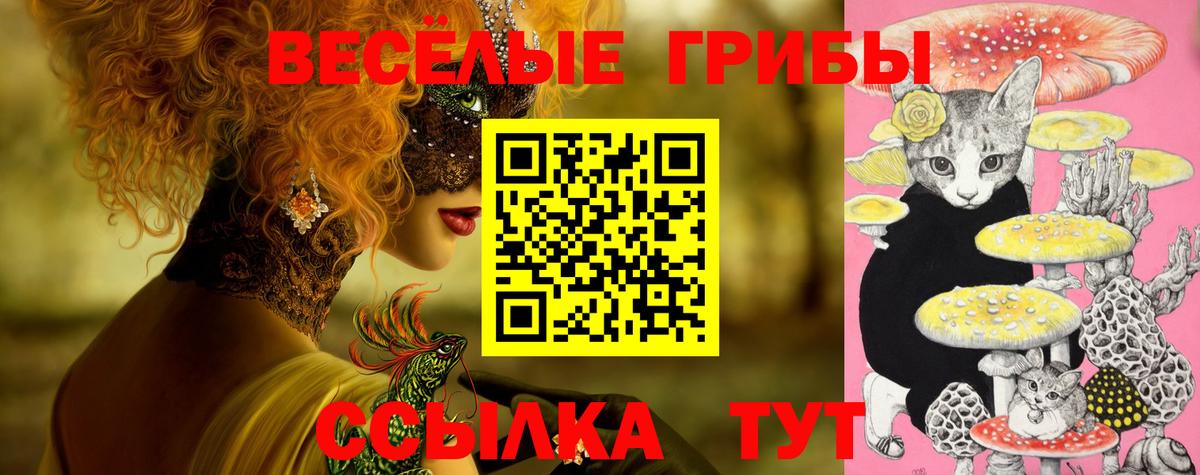 Псилоцибиновые грибы GOLDEN TEACHER  Псилоцибиновые грибы Cubensis  Строитель  Вход с VPN 