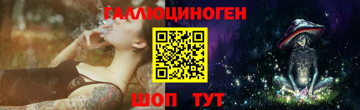 Псилоцибиновые грибы Psilocybe Строитель